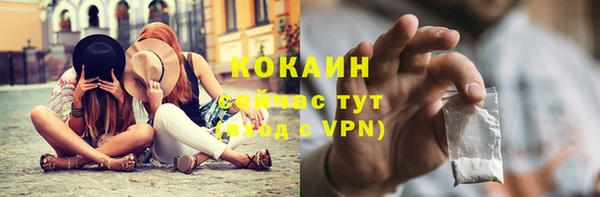 амф Няндома