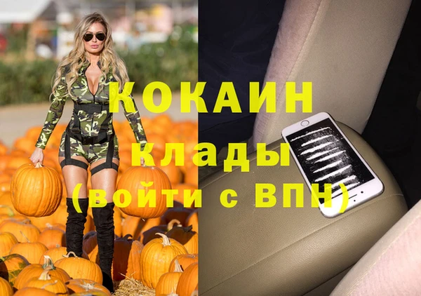 амф Няндома