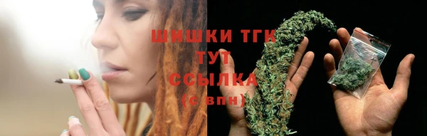 амф Няндома