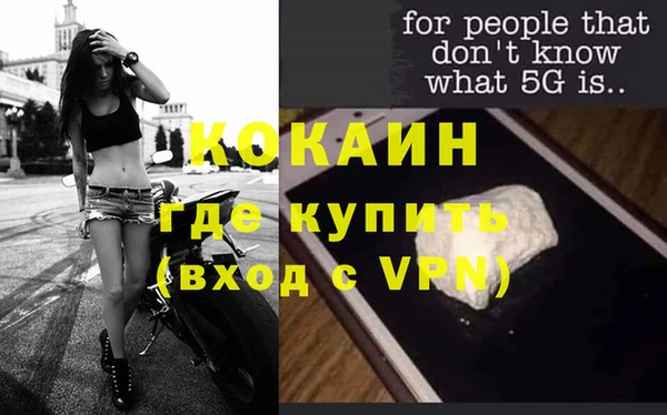 тгк Болотное