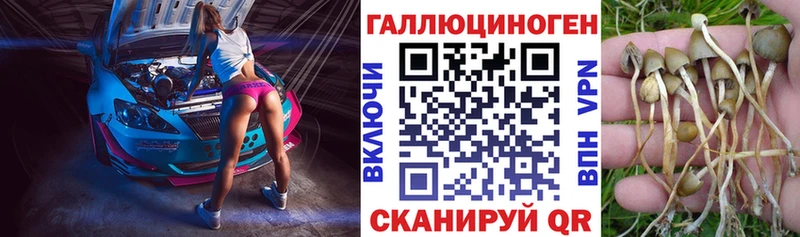 кракен маркетплейс  Боровичи  Галлюциногенные грибы мухоморы 